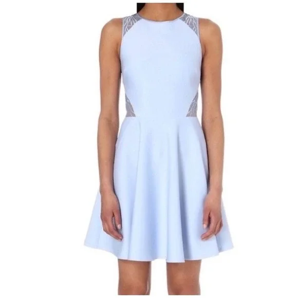 Ted Baker London Venma Sheer Blue Lace Embroidered Skater Dress Sz 1 UK Sz 4 Ted Baker London Venma Sheer Blue Lace Embroidered Skater Dress Sz 1 UK Sz 4